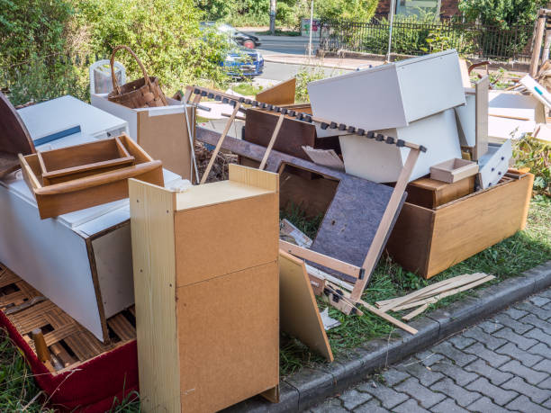 Best Professional Junk Removal  in Nisswa, MN