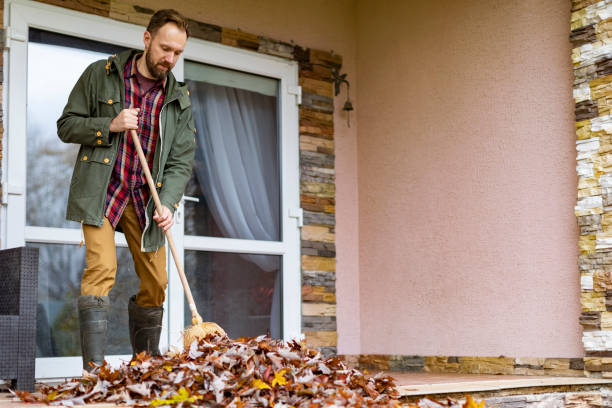 Best Basement Cleanout Services  in Nisswa, MN