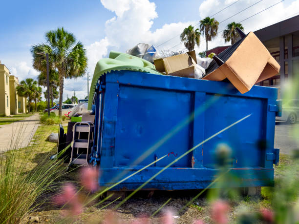 Best Yard Cleanup Services  in Nisswa, MN